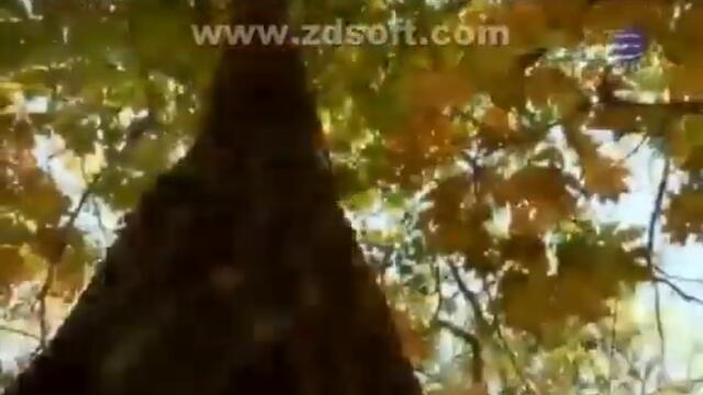 Planeta TV - Autumn (2012)-360p