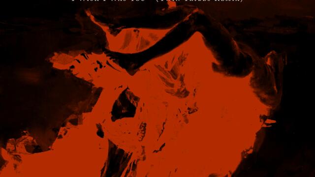 I Wish I Was You (Twin Tribes Remix)