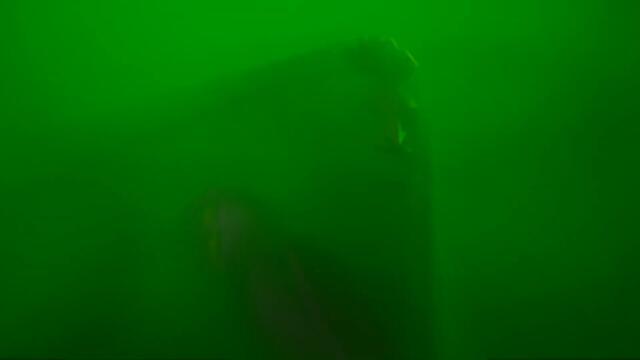 MultiVersus - Official Launch Trailer "Stars Collide. Pies Fly."