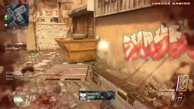 Black Ops 2 Best Moments - Funny Moments, Killcams, Remix, Epic Kills, Fun w/ Friends (Thank you)