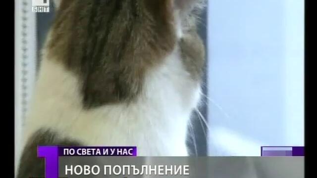 Тази вечер в -Господари на ефира-[via torchbrowser.com]