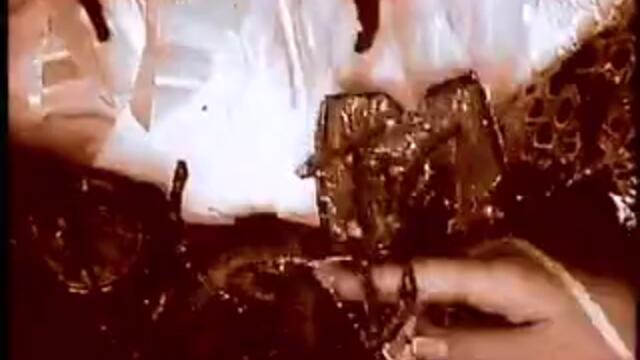 MTV_Bumper___Weird_Tree_360p