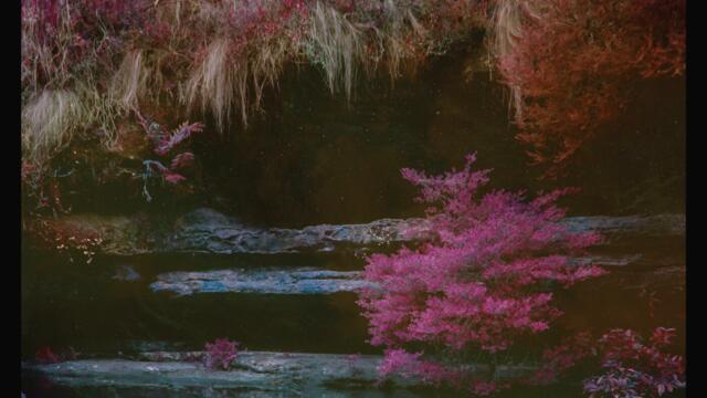 Heartburn (Rinzen Remix)