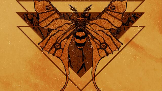 The Hivemind & The Cockroach