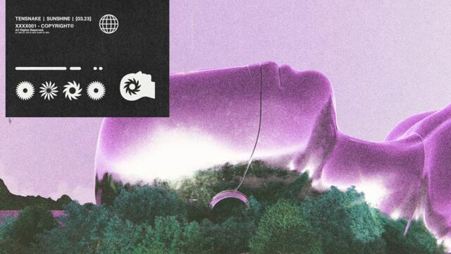 Sunshine (Black Circle Extended Remix)