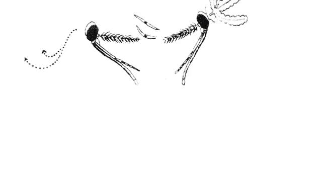 Heaven Taste (Tin Man Remix)