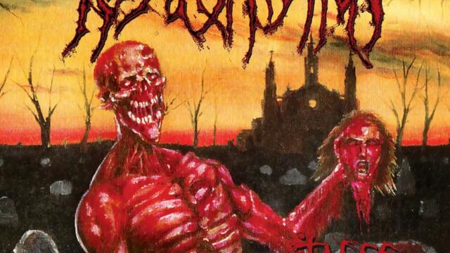 Cadaveric Impregnation