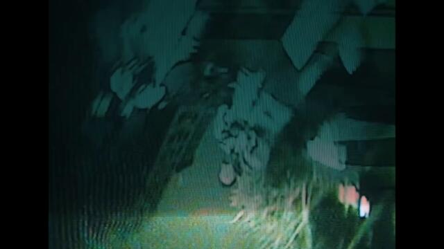 JOEYY, DEE AURA - SFOGLIATELLE KALYPSO48K REMIX