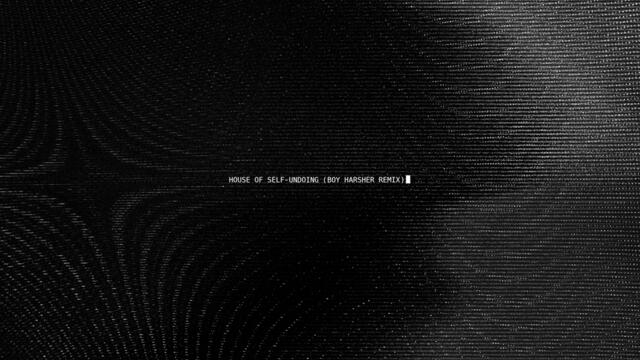 House Of Self-Undoing (Boy Harsher Remix)