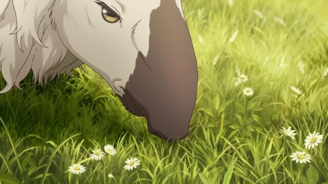 【特報映像】とんがり帽子のアトリエ 2025年TVアニメ化決定!!