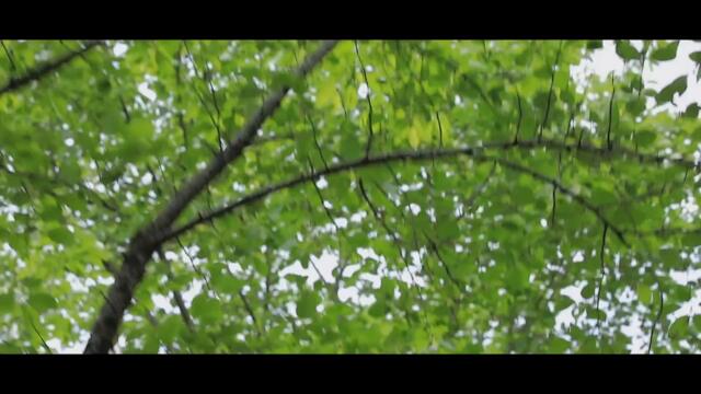 TWICE REALITY "TIME TO TWICE" TDOONG WORKSHOP TEASER