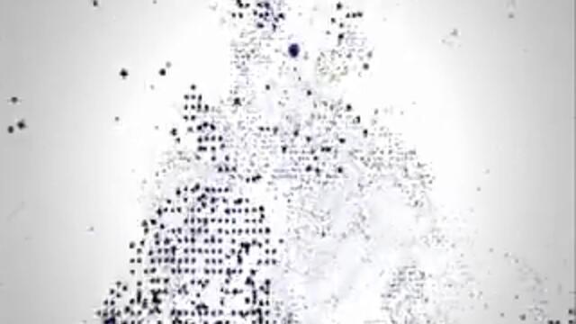 HIstory_Samurai_ident-360p