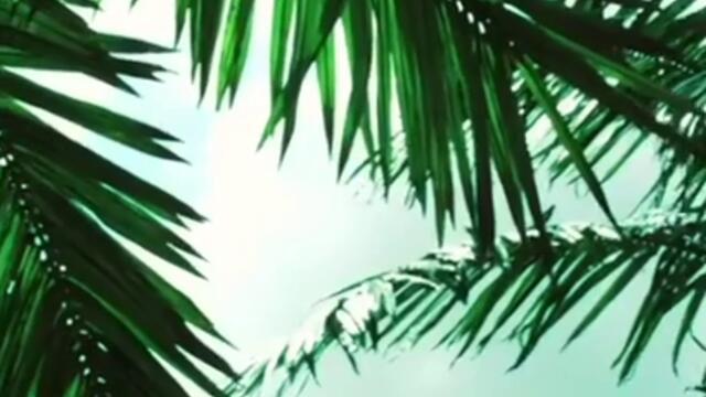 love_tsvetelinayaneva - 1722452016257