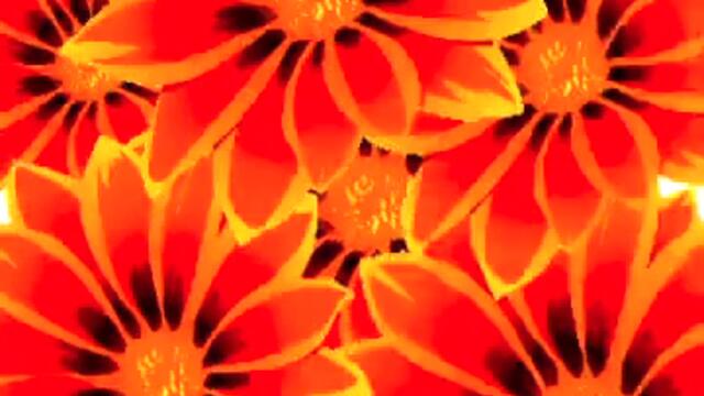 mtv_ident_240p (240p)