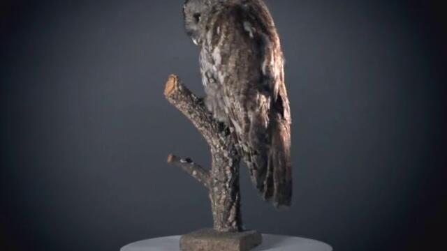 Избери своя страх _ By KINO NOVAFacebook _ Facebook