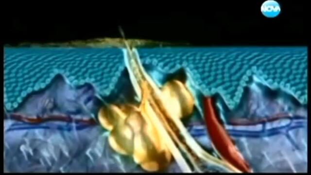 На Кафе - фотопневматичната терапия Исолаз - 1 част