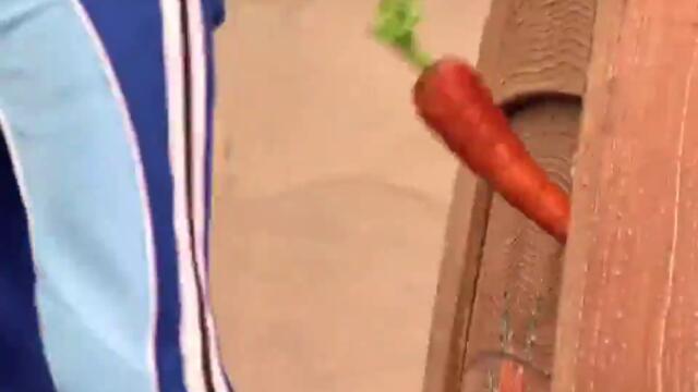 Digital Books For Children - Edutainment - www.booclips.com[via torchbrowser.com] (2)