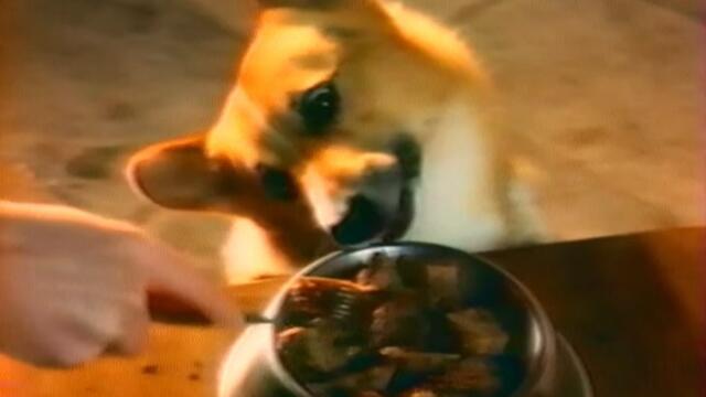 БНТ-Ефир 2- Рекламен блок (1993)