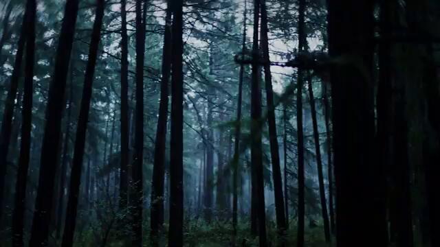 Tempo - AYA (Official Music Video)