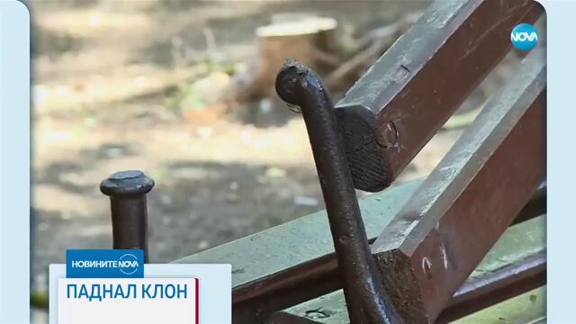 Новините на NOVA (04.09.2024 - централна емисия)