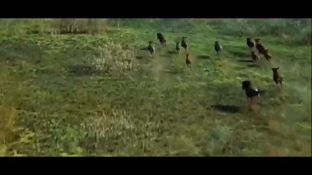 Kendini Yüzbaşı'nın Ellerine Bırak! | Türkler Çıldırmış Olmalı