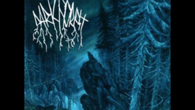 Dark Forest - Aurora Borealis - 6 - Northstar