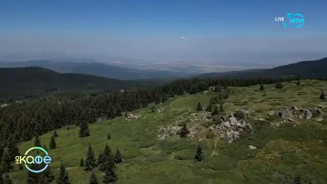 Никола Калистрин и неговото скоростно преминаване на северен Пирин - „На кафе“ (25.07.2024)