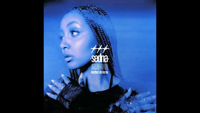 ׂ╰┈➤ PinkPantheress - Another Life (Sedna #Remix) ⊹