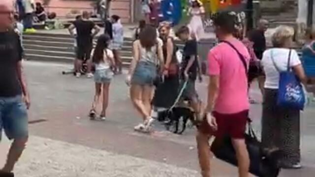 #travel #bulgaria #българия #plovdiv #bulgariatourism #europe