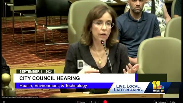 Activists want more effort in preventing animal abuse