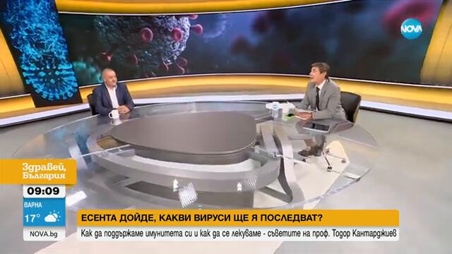 Проф. Кантарджиев: През последните седмици няма регистрирани случаи на морбили у нас