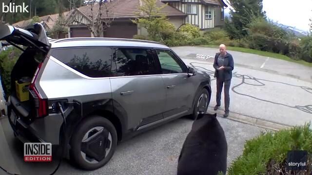 Are Bears Becoming Addicted to Sugar?