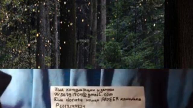 Часть 1Чем занимался Бывший в єто Полнолуние#Shorts