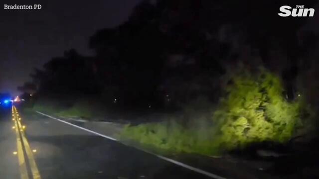 Hurricane Helene tears into Florida as locals brace for 'unsurvivable' 20 foot storm surges