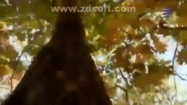 videoplayback 3