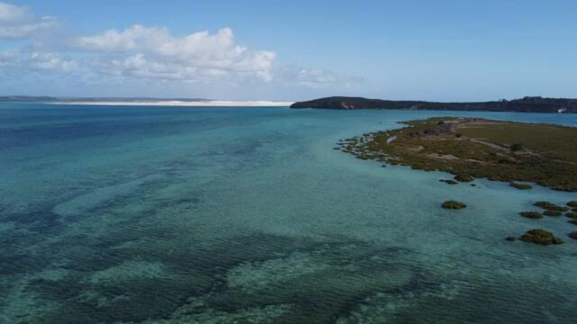 The Most Fish i Have Ever Seen! Private NZ Harbour