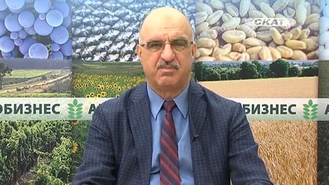 НОСИ СЕ СИЛНА МИРИЗМА НА ГНИЛО