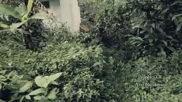 PLEASE.. INI MISTERIUS BANGET!! 60 TAHUN TERSEMBUNYI PILIH TINGGAL DI RUMAH TENGAH HUTAN BELANTARA