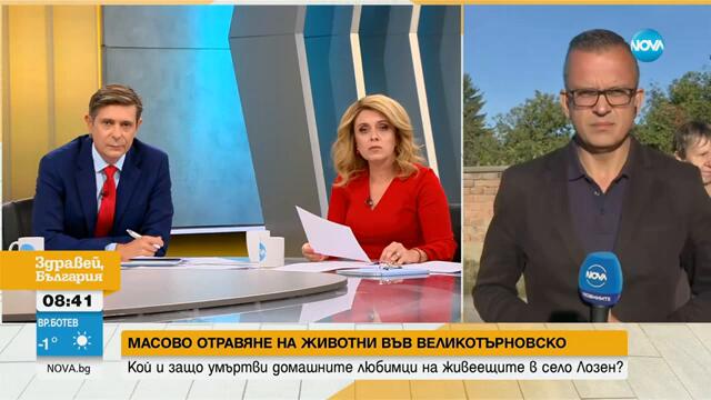 Масово отравяне на домашни любимци във великотърновско село - Здравей, България (02.10.2024)