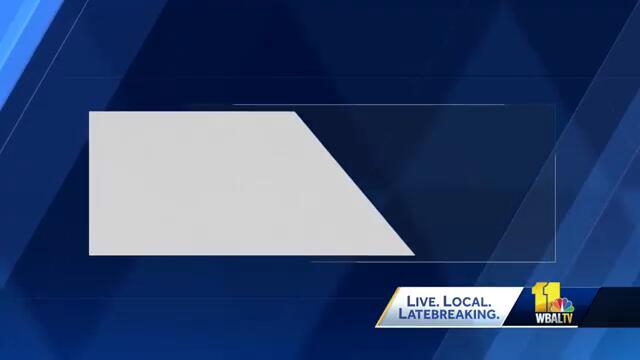 Maryland SPCA helps create 'Girl of the Year'