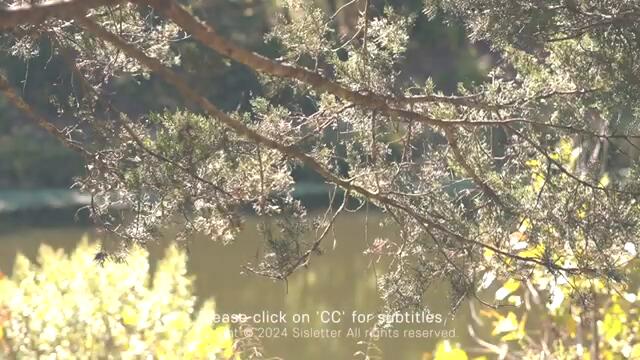 SUB) 거실을 활용해 새롭고 깔끔한 아이공간 꾸며주기/ 액티비티 테이블 정리/ How I Utilize Living Space as Kids Area