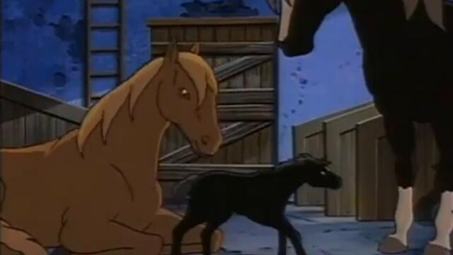 Черният Красавец (1995) Бг Аудио