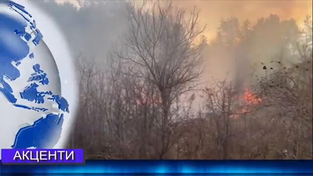 Новини от Петрич и Сандански 12/11/2024 година