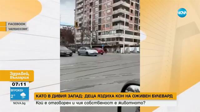 „Пълен абсурд”: Чий е конят, язден от дете в София - Здравей, България (14.11.2024)