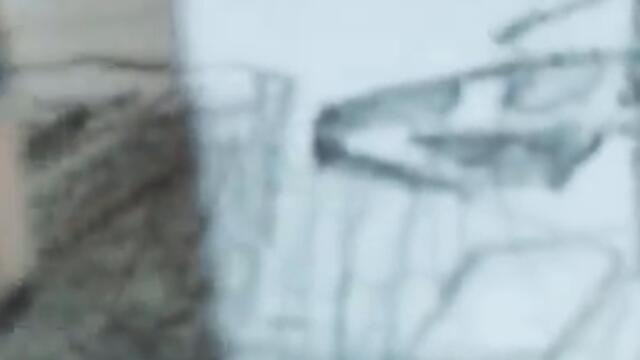 15 ноября 2024 г.