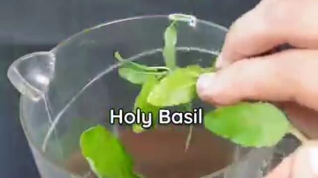 Acharya Manish's Healthy Green Juice For Diabetes & Blood Pressure