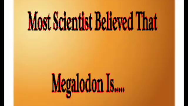 The megalodon-World's Biggest Shark