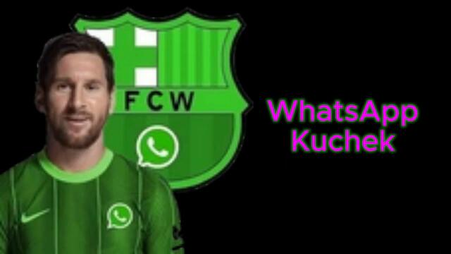 NOVO KUCHEK 2024 WhatsApp kuchek HIT