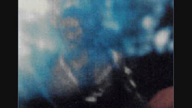 Paranormal Pictures 6