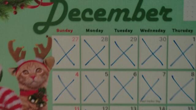 Бандата на непослушните The Naughty Nine   (2023) Бг Аудио Част 1